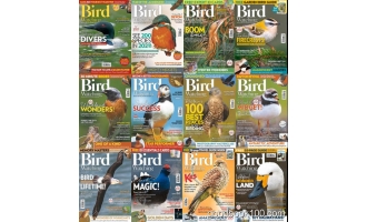 鸟类观察类杂志_Bird Watching UK_2021年合集高清PDF杂志电子版百度盘下载 共12本 983MB