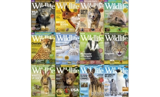 野生动物户外类杂志_BBC Wildlife_2018年合集高清PDF杂志电子版百度盘下载 共12本