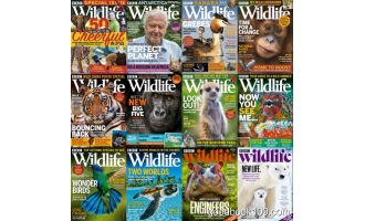 野生动物杂志_BBC Wildlife_2021年合集高清PDF杂志电子版百度盘下载 共12本 1.03GB